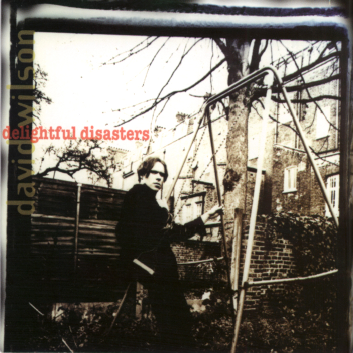 David Wilson - Delightful Disasters